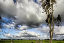 [欧冠]梅开二度 科曼连续摆脱后打远角破门.