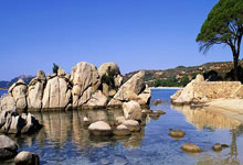 星空体育官网：威少10中2雷霆大胜掘金 兰豆33分森林狼胜国王.